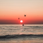 Photo: Simon Marsault / Unsplash