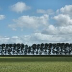 20068127331_d450a21093_k